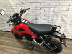 �z���_�O�����i���Q�����R�s�j�摜12
