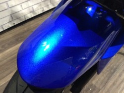 �X�Y�LGSX250R�i���Q�����R�s�j�摜19