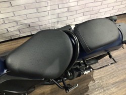 �z���_���u��250�i���Q�����R�s�j�摜16