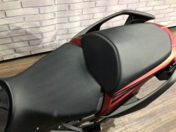 �J���T�LNinja 1000SX�i���Q�����R�s�j�摜16