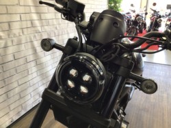 �z���_���u��1100�i���Q�����R�s�j�摜18