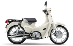 �z���_�X�[�p�[�J�u110�i���Q�����R�s�j�摜8