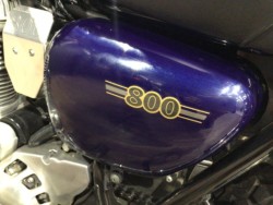 �J���T�LW800�i���Q�����R�s�j�摜29