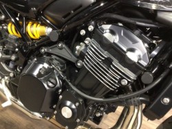 �J���T�LZ900RS SE�i���Q�����R�s�j�摜4