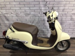 �z���_�W�����m�i���Q�����R�s�j�摜2