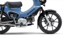 �z���_�N���X�J�u110�i���Q�����R�s�j�摜4