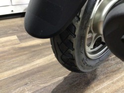 �z���_�W�����m�i���Q�����R�s�j�摜6