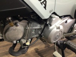 �z���_�N���X�J�u110�i���Q�����R�s�j�摜11