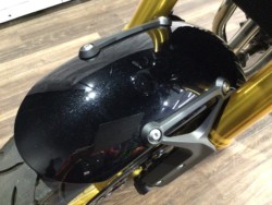 �J���T�LZ900RS SE�i���Q�����R�s�j�摜20