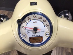 �z���_�W�����m�i���Q�����R�s�j�摜14