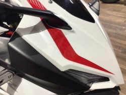 �z���_CBR250RR�i���Q�����R�s�j�摜21
