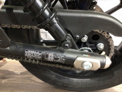 �z���_���u��250�i���Q�����R�s�j�摜24