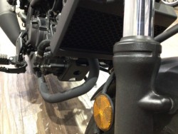 �z���_���u��250�i���Q�����R�s�j�摜27