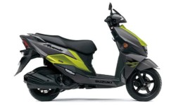 �X�Y�L�A���F�j�X125�i���Q�����R�s�j�摜7