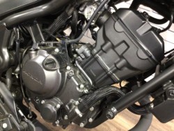 �z���_���u��250�i���Q�����R�s�j�摜4