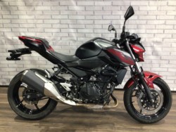 �J���T�LZ250�i���Q�����R�s�j�摜2
