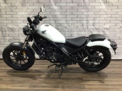 �z���_���u��250�i���Q�����R�s�j�摜8