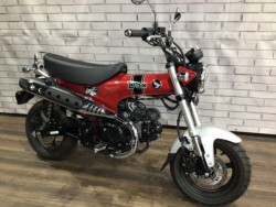 �z���_�_�b�N�X125�i���Q�����R�s�j�摜1