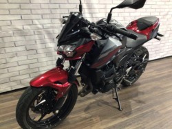 �J���T�LZ250�i���Q�����R�s�j�摜9