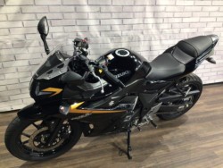 �X�Y�LGSX250R�i���Q�����R�s�j�摜9