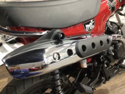 �z���_�_�b�N�X125�i���Q�����R�s�j�摜7