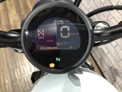 �z���_���u��250�i���Q�����R�s�j�摜15