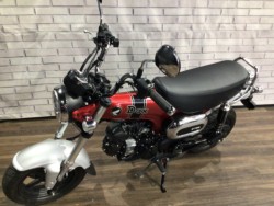 �z���_�_�b�N�X125�i���Q�����R�s�j�摜9