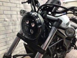 �z���_���u��250�i���Q�����R�s�j�摜18