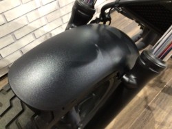 �z���_���u��250�i���Q�����R�s�j�摜19