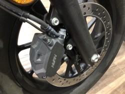 �z���_���u��250�i���Q�����R�s�j�摜20