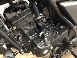 �z���_CL250�i���Q�����R�s�j�摜11
