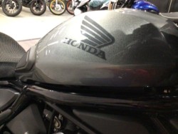 �z���_���u��1100�i���Q�����R�s�j�摜24