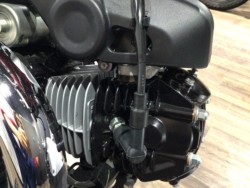 �z���_�_�b�N�X125�i���Q�����R�s�j�摜22