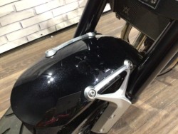 �J���T�LZ900RS�i���Q�����R�s�j�摜19