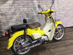 �z���_�X�[�p�[�J�u110�i���Q�����R�s�j�摜5