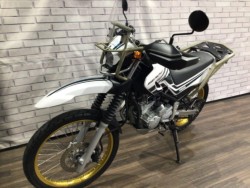 ���}�n�Z���[250�i���Q�����R�s�j�摜9