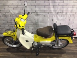 �z���_�X�[�p�[�J�u110�i���Q�����R�s�j�摜8