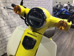 �z���_�X�[�p�[�J�u110�i���Q�����R�s�j�摜18