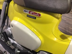 �z���_�X�[�p�[�J�u110�i���Q�����R�s�j�摜22