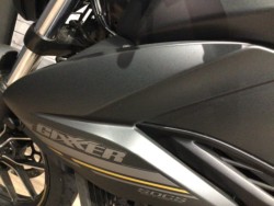 �X�Y�L�W�N�T�[250�i���Q�����R�s�j�摜26