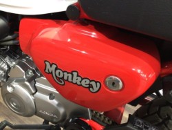 �z���_�����L�[125�i���Q�����R�s�j�摜27