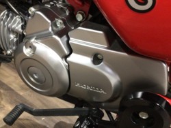 �z���_�����L�[125�i���Q�����R�s�j�摜29