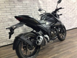 �X�Y�L�W�N�T�[250�i���Q�����R�s�j�摜5
