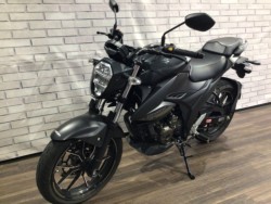 �X�Y�L�W�N�T�[250�i���Q�����R�s�j�摜9