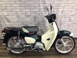 �z���_�X�[�p�[�J�u110�i���Q�����R�s�j�摜2