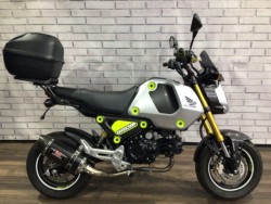 �z���_�O�����i���Q�����R�s�j�摜2
