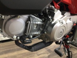 �z���_�����L�[125�i���Q�����R�s�j�摜11