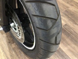 �z���_�O�����i���Q�����R�s�j�摜3