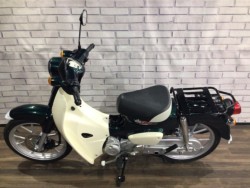 �z���_�X�[�p�[�J�u110�i���Q�����R�s�j�摜8