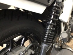 �J���T�LELIMINATOR�i���Q�����R�s�j�摜26